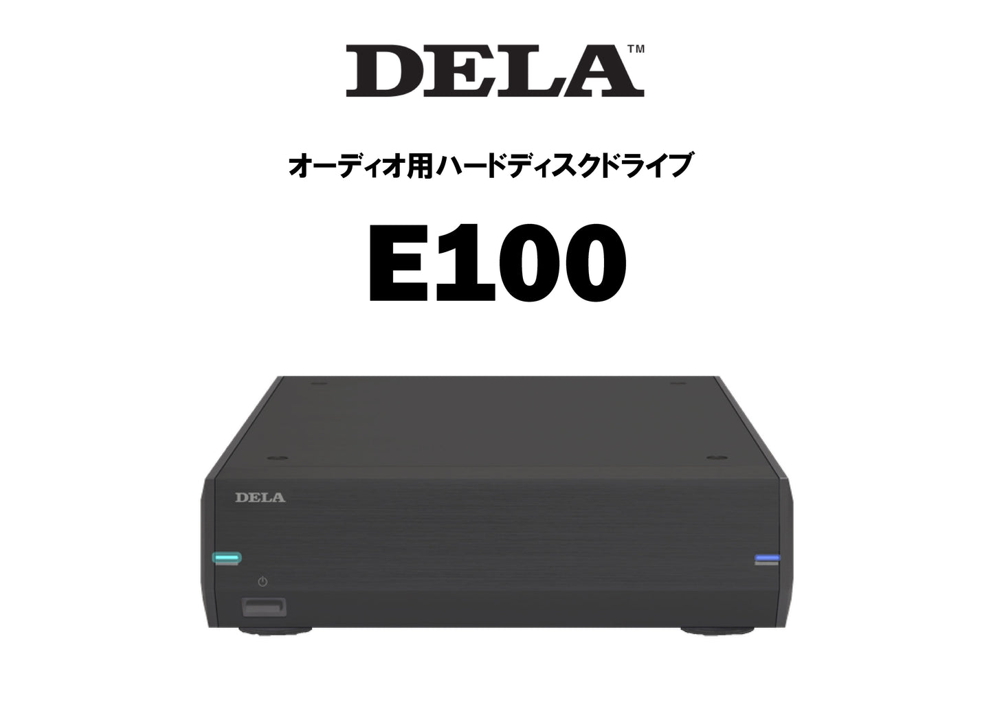 DELA E100 ハードディスクドライブ