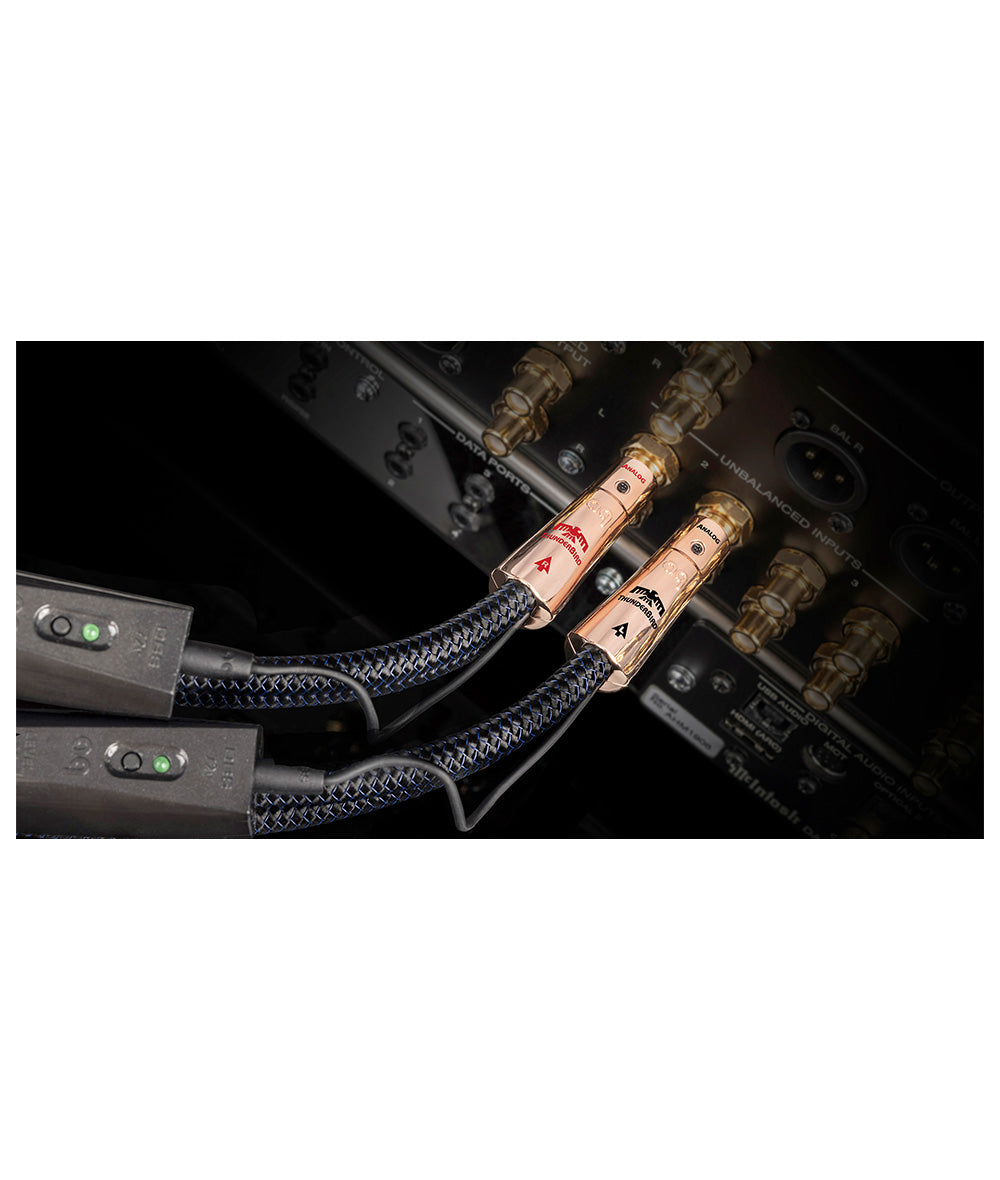 audioquest ThunderBird Triple Balanced インターコネクトケーブル