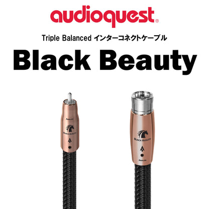 audioquest　Black Beauty　Triple Balanced インターコネクトケーブル