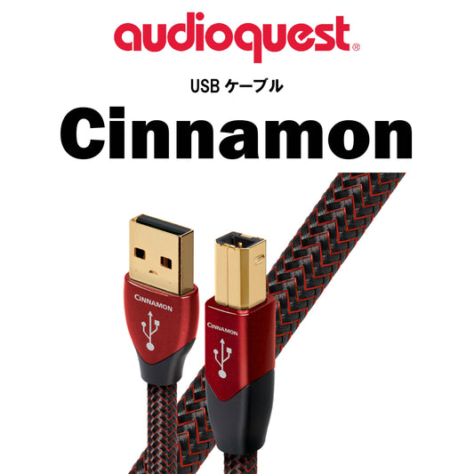 audioquest　USB2 Cinnamon　USBケーブル