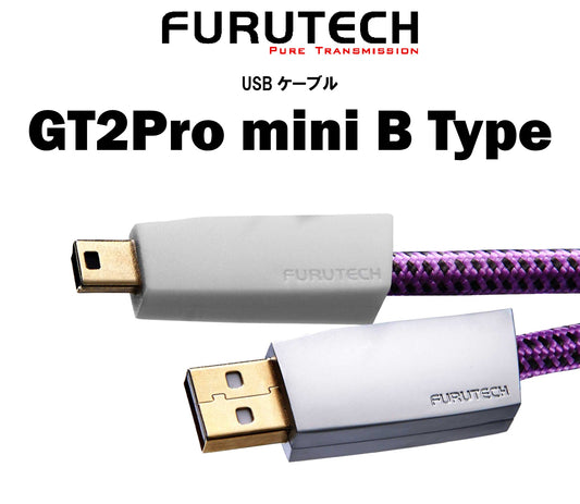 FURUTECH GT2Pro mini B Type
