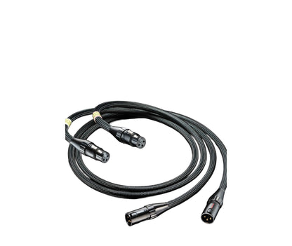 FURUTECH Evolution Audio ll(XLR) 文字なし
