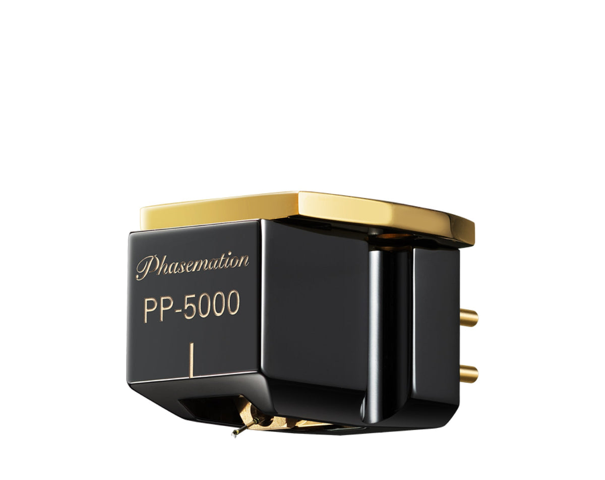 Phasemation PP-5000 本体